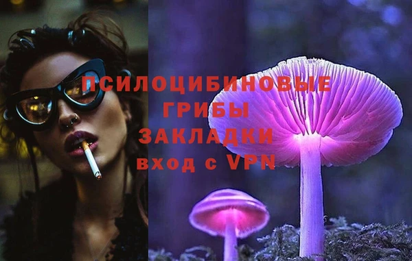 дурь Верхний Тагил