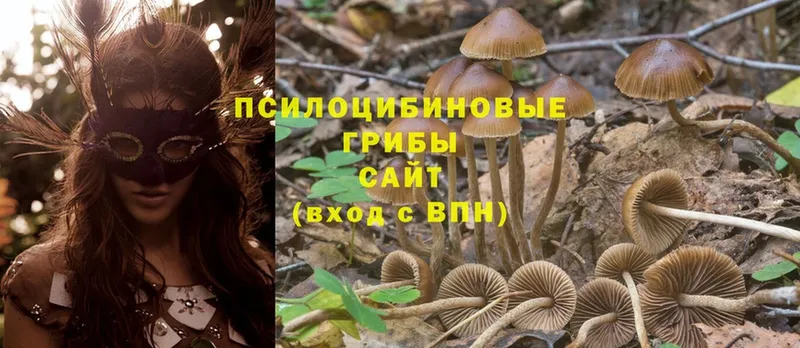 мега зеркало  Ярославль  Галлюциногенные грибы Cubensis  купить наркоту 